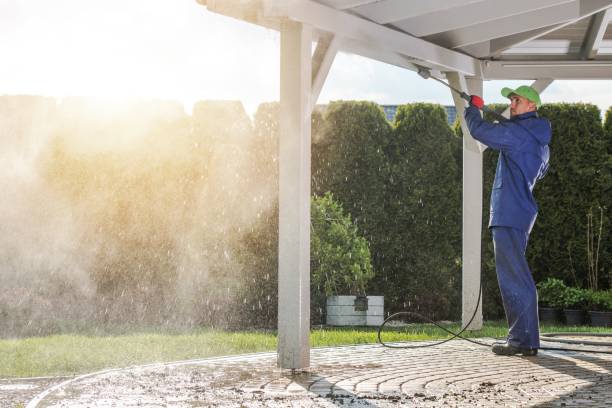 Best Driveway Pressure Washing  in Syracuse, IN
